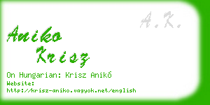 aniko krisz business card
